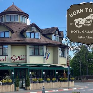 Hotel Gallant Sibiu